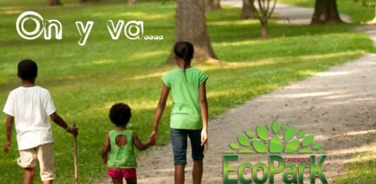 Respirez, détendez-vous, reconnectez-vous : bienvenue à EcoPark Cameroun