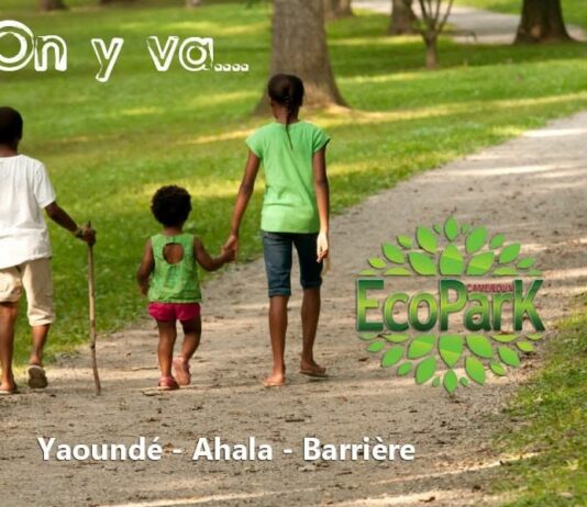 Respirez, détendez-vous, reconnectez-vous : bienvenue à EcoPark Cameroun