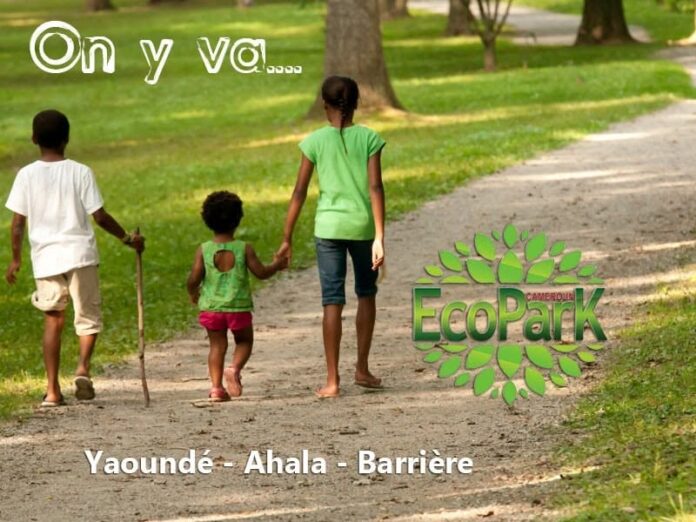 Respirez, détendez-vous, reconnectez-vous : bienvenue à EcoPark Cameroun