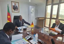 Projets routiers : le MINTP exige la reprise des travaux d’Arab Contractors