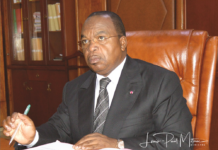 Cameroun : 34 entreprises publiques classées en cinq catégories par le ministère des Finances