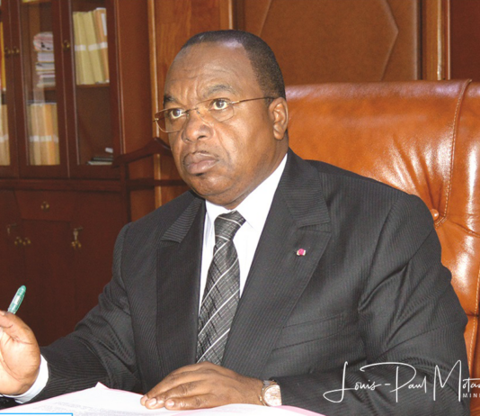 Cameroun : 34 entreprises publiques classées en cinq catégories par le ministère des Finances