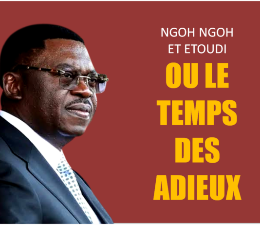 Cameroun – Secrétaire général de la présidence de la République : Ferdinand Ngoh Ngoh fait-il ses adieux ?