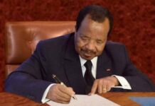 Riz : comment la Tanzanie a coupé le cordon des importations en moins de 5 ans pendant que le Cameroun cherchait des excuses