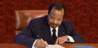 Riz : comment la Tanzanie a coupé le cordon des importations en moins de 5 ans pendant que le Cameroun cherchait des excuses