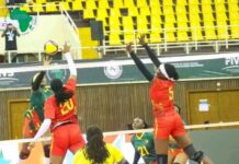 LES LIONNES FILENT EN DEMI-FINALES