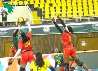 LES LIONNES FILENT EN DEMI-FINALES