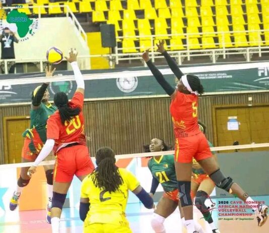 LES LIONNES FILENT EN DEMI-FINALES