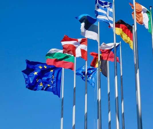 Migrations : La Franco-camerounaise Adrienne Akamba Bancelin propose aux dirigeants de l’UE une nouvelle approche africaine du retour des migrants