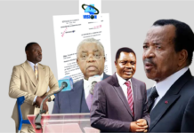 Affaire CNC–Vision 4 : après la lettre de Raymond Materne Mekamba Mekamba à Paul Biya, René Emmanuel Sadi demande à Canal+ de rétablir la diffusion