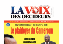 La Voix Des Décideurs n°159
